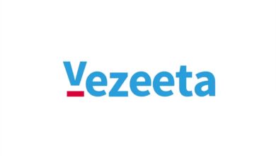 فيزيتا