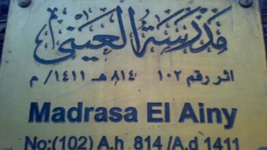 مدرسة قصر العيني