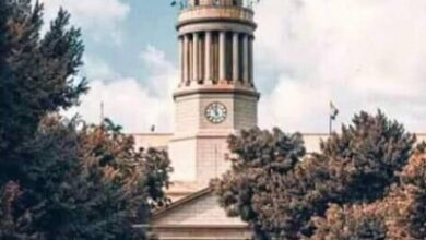 طب قصر العيني