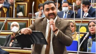 النائب محمود قاسم عضو مجلس النواب