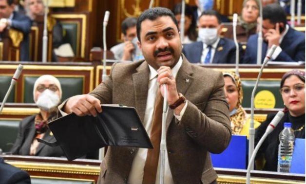 النائب محمود قاسم عضو مجلس النواب