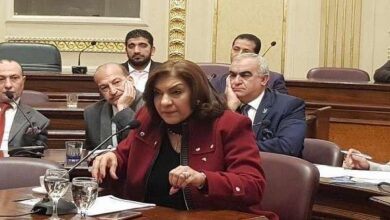 النائبة إيفيلين متى عضو مجلس النواب