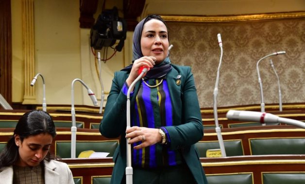 النائبة سارة النحاس عضو مجلس النواب
