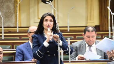 إيرين سعيد عضو مجلس النواب