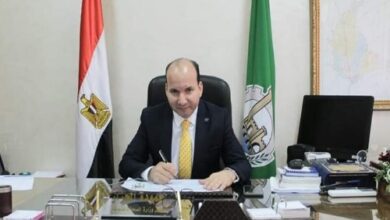 الدكتور حموده الجزار وكيل صحة القليوبية