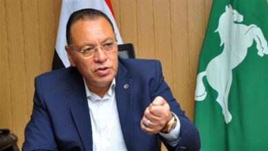 الدكتور ممدوح غراب محافظ الشرقية