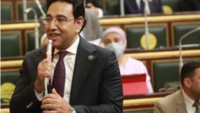 الدكتور أيمن محسب عضو مجلس النواب