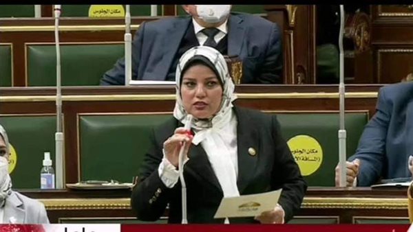 النائبة سلمى مراد