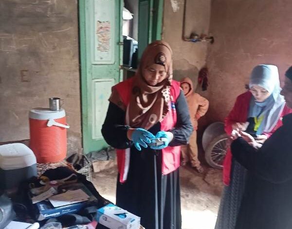 المسح التدريجي للأمراض غير السارية