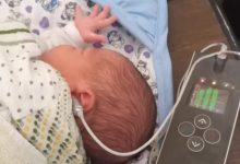 الكشف عن الأمراض الوراثية