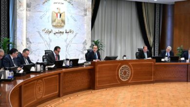 رئيس الوزراء يتابع موقف توافر مخزون من الأدوية