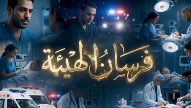 سلسلة فرسان الهيئة