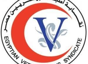 نقابة الأطباء البيطريين