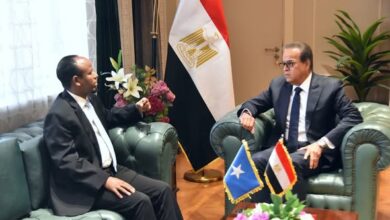 وزير الصحة يبحث مع نظيره الصومالي
