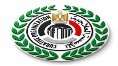 المؤسسة العلاجية
