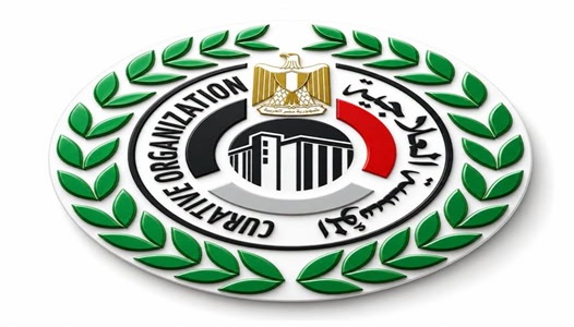 المؤسسة العلاجية