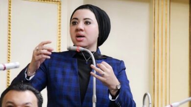 النائبة أميرة صابر قنديل، عضو مجلس الشيوخ