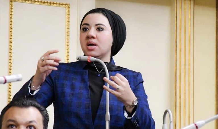 النائبة أميرة صابر قنديل، عضو مجلس الشيوخ