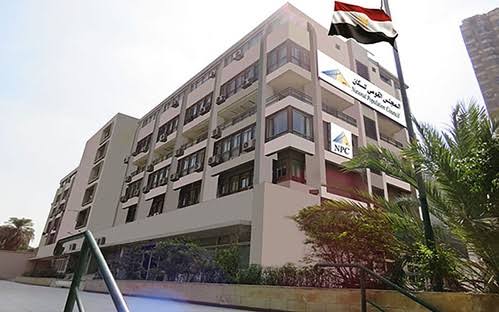 المجلس القومي للسكان