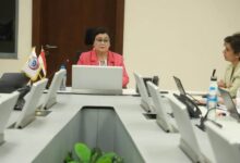 نائب رئيس الوزراء