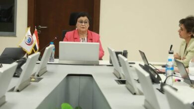 نائب رئيس الوزراء